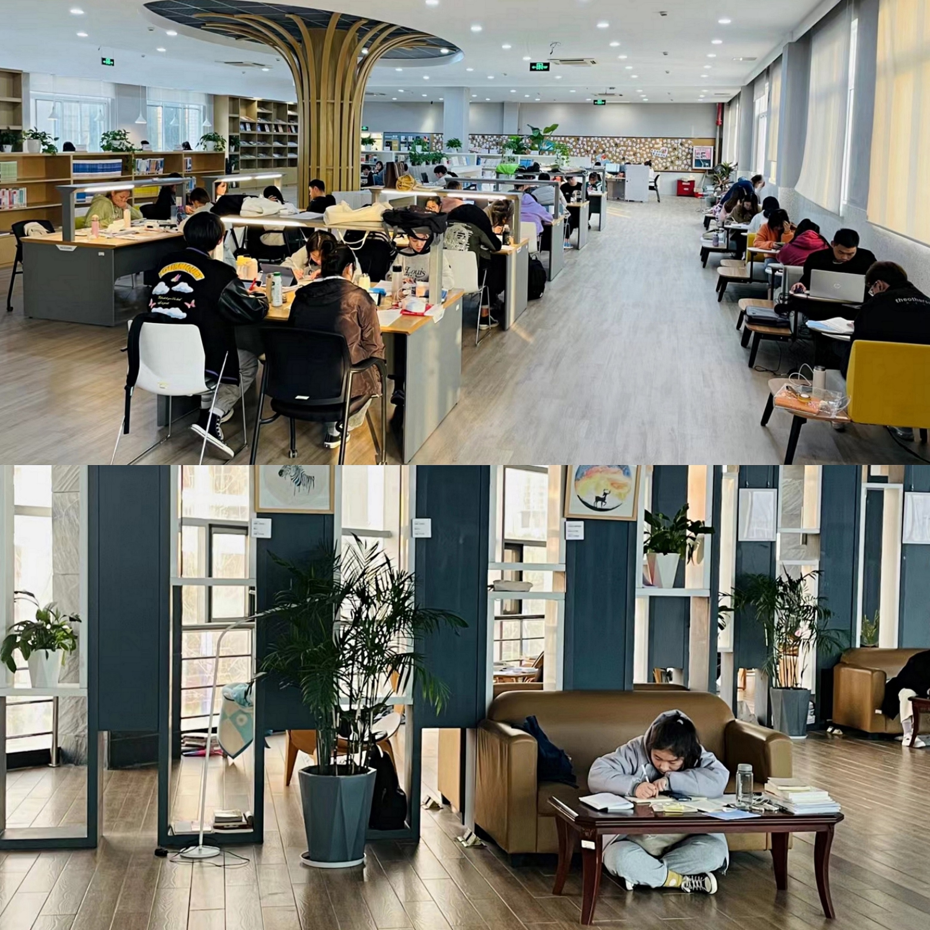 1640572082002066044.jpg QQ图片3 - 副本.jpg